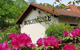 Biohof Buschmühle